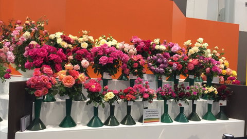 Roses By The Seaside: National Rose Championships And Conference - Restaurant Darwin 1