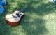 Rosewood Country Round Up Music Festival - thumb 0
