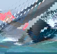 SeaLink Magnetic Island Race Week - Restaurant Darwin