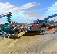 SteamFest 2021 - Restaurant Darwin