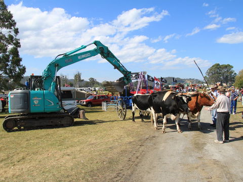 SteamFest 2021 - Restaurant Darwin 0