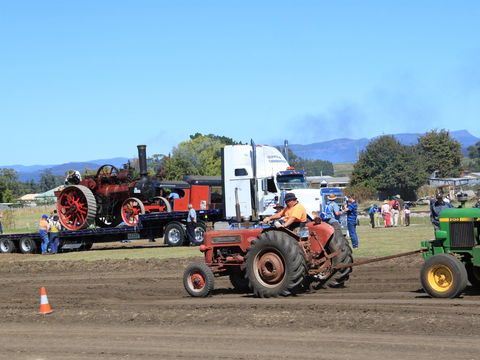 SteamFest 2021 - Restaurant Darwin 2