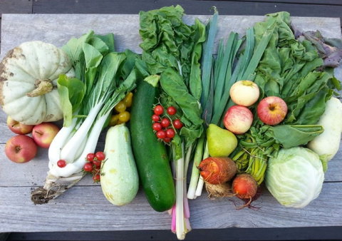 Wingham Farmers Market - Restaurant Darwin 0