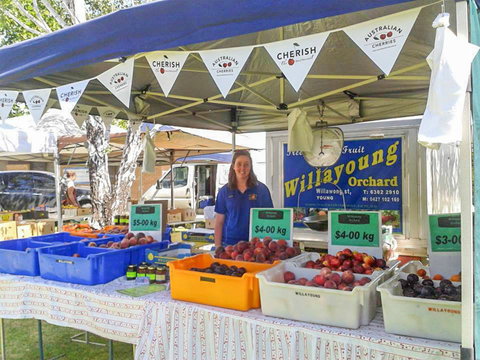 Young And Region Farmers Markets - Restaurant Darwin 1