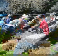 All Season Cold Climate Organic Vegetable Growing - Restaurant Darwin