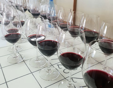 Australian Cool Climate Wine Show - Restaurant Darwin 1