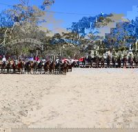 Australian Campdraft Association National Finals Campdraft 2021 - Restaurant Darwin