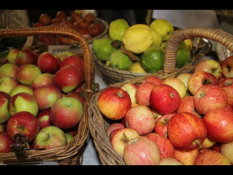 Braidwood Farmers Markets - Restaurant Darwin 0