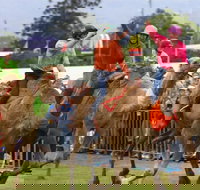 Camel Races at Penrith Paceway - Restaurant Darwin