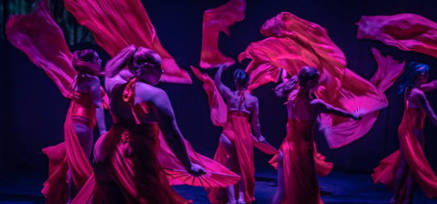 Darwin Fringe Festival - Restaurant Darwin 1