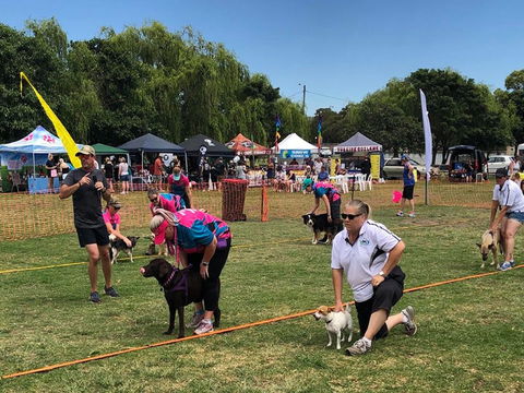 Dogs In The Park NSW St Ives - Restaurant Darwin 0