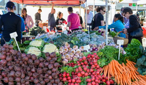 Harvest Launceston Community Farmers' Market - Restaurant Darwin 2