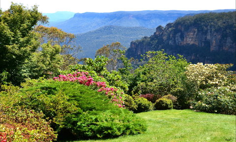 Leura Gardens Festival - Cancelled - Restaurant Darwin 1