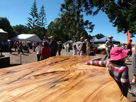 Maleny Wood Expo: From Seed To Fine Furniture - Restaurant Darwin 0