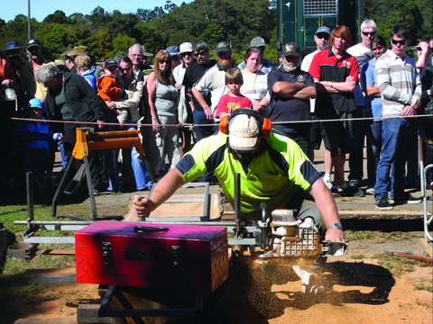 Maleny Wood Expo: From Seed To Fine Furniture - Restaurant Darwin 2
