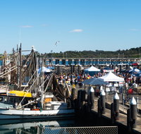 Ocean Harvest Festival - Restaurant Darwin