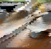Online live streaming class DIY Clay Hand Building for Beginners - Restaurant Darwin