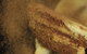 Mudbar And Restaurant - thumb 9