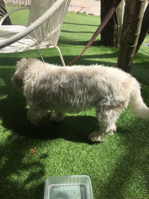 Rococo - Restaurant Darwin 3