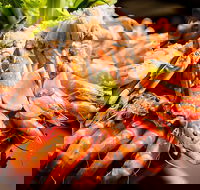 Table 30 - Restaurant Darwin