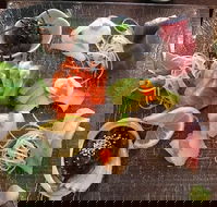 Toshi's Japanese Restaurant - Restaurant Darwin