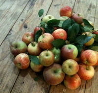 Ellie's Kitchen Foodstore - Restaurant Darwin