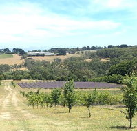Main Ridge Harvest - Restaurant Darwin
