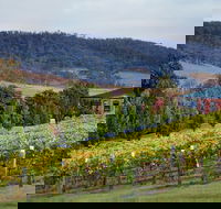 De Bortoli Winery  Restaurant - Restaurant Darwin