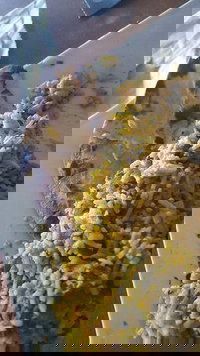 Horsham Masala Indian Restaurant