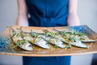 SARDINE eatery  bar