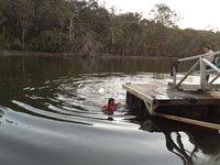 Nowa Nowa Takeaway and Nowa Nowa Restaurant Darwin Restaurant Darwin