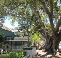 The Season Tree - Restaurant Darwin