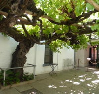 The Vine - Restaurant Darwin