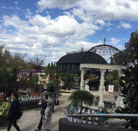 Cafe Harvest  BGC - Restaurant Darwin