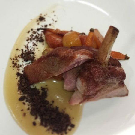 Trevi Lakeside - Restaurant Darwin 0