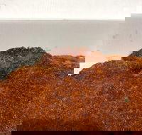 Pizza On Lomond - Restaurant Darwin