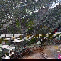 Leonies Little Tree Cafe