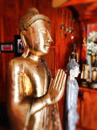 Mai Thai
