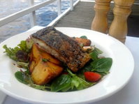 Salty Dog Bistro