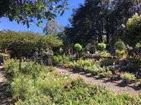 Yatte Yattah Takeaway and Yatte Yattah Restaurant Darwin Restaurant Darwin