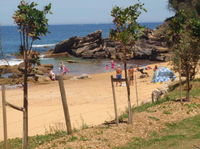 Killcare Surf Club