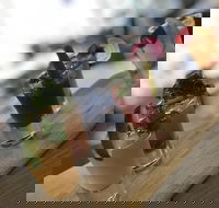 Oysters on the Bay - Restaurant Darwin