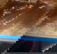 Domino's Pizza Wyoming - Restaurant Darwin