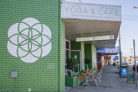 Modern Organic