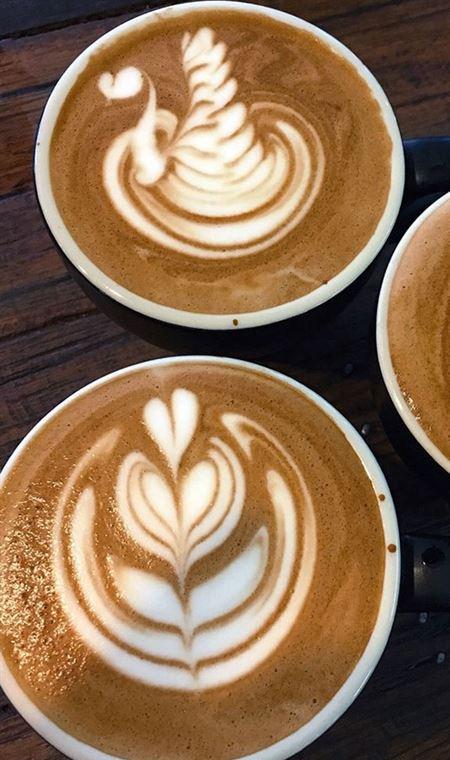 Cafe In Tokyo - Restaurant Darwin 4