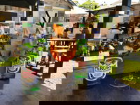 The Blue Fox Bar  Kitchen