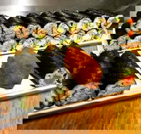 Freewave Sushi  Burgers - Restaurant Darwin