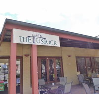 Serrated Tussock Cafe - Restaurant Darwin