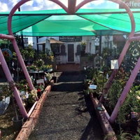 Gilgandra Takeaway and Gilgandra Restaurant Darwin Restaurant Darwin