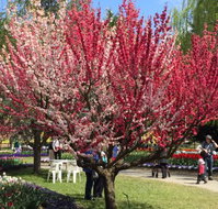 Mirchi Indian Cuisine - Restaurant Darwin